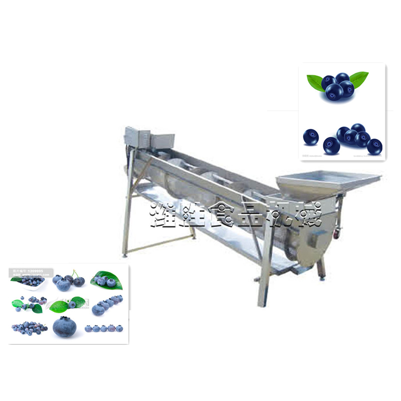 藍(lán)莓去把機